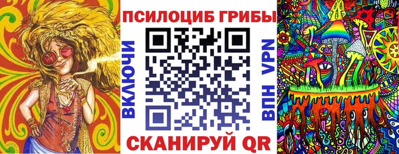 Псилоцибиновые грибы Psilocybe  Купить  Горняк 
